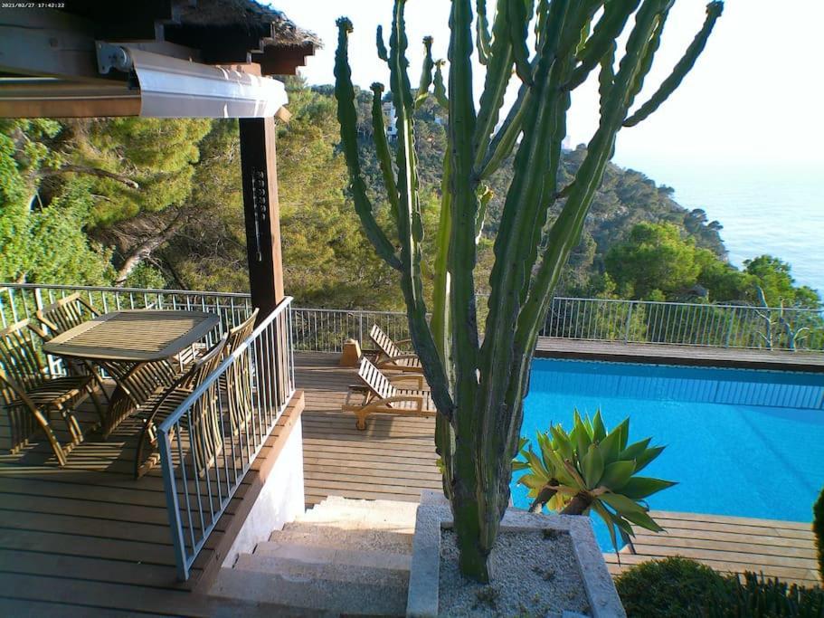 Terraza Al Mar Pensión